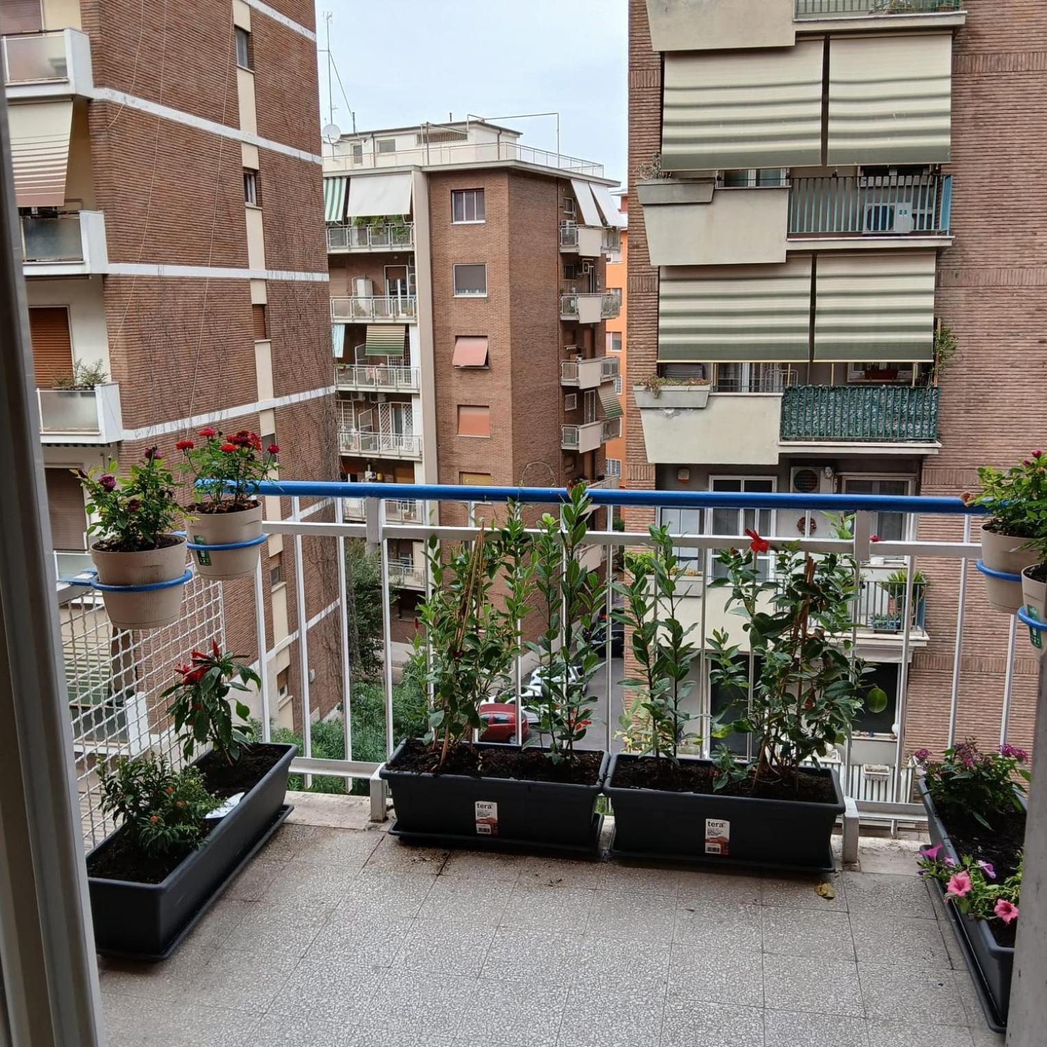 Apartament Grand Nomentana Roma Zewnętrze zdjęcie